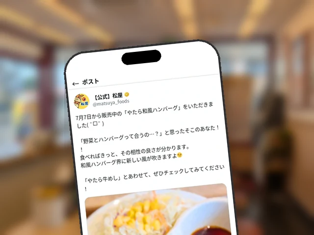 松屋公式X、7月7日発売『やたら和風ハンバーグ』を実食し野菜との相性を推す