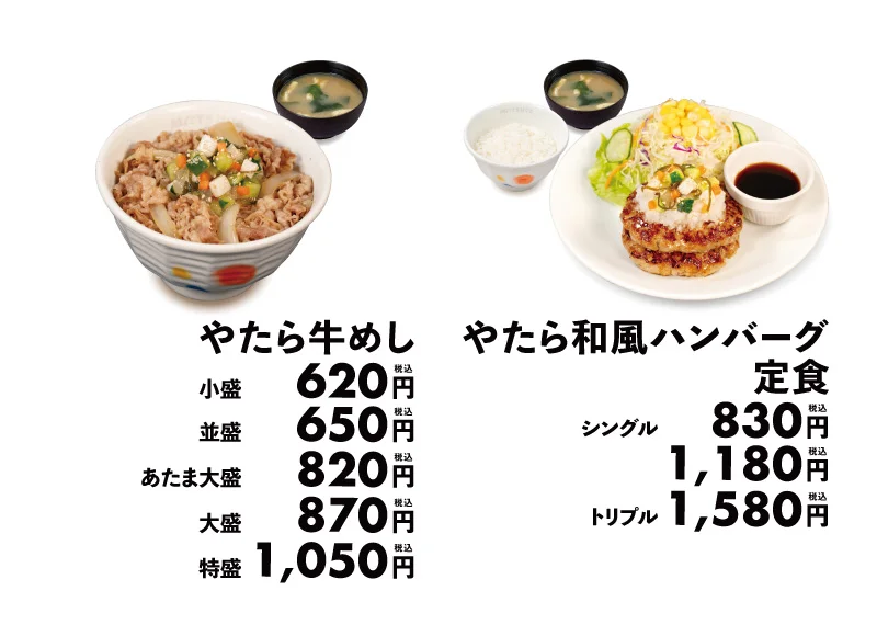 やたら牛めしとやたら和風ハンバーグ定食