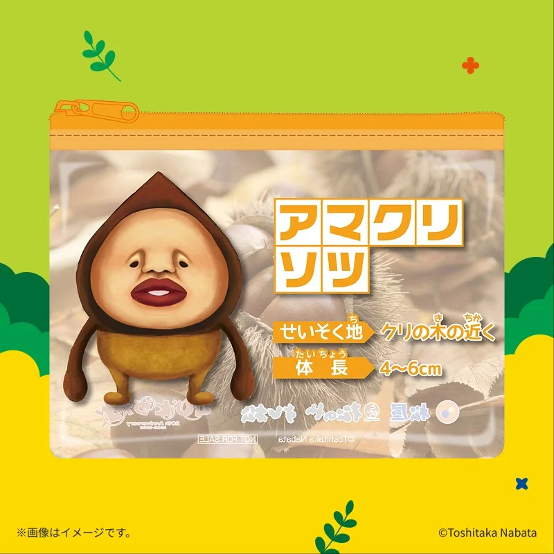 アマクリソツのポーチ